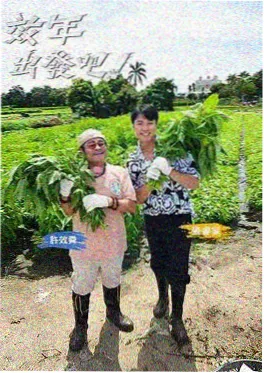 荒野厨房 综艺海报